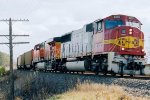 BNSF 8293 West